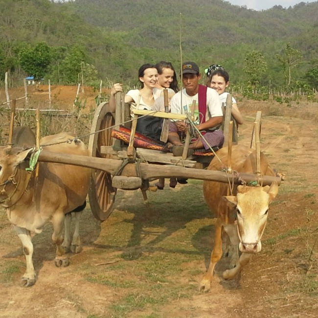 BUas onderzoeksprojecten