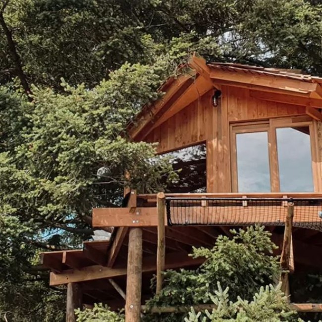 Een houten vakantiehuisje in een boom