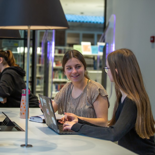 Twee studenten in een studiezaal werken samen op een laptop