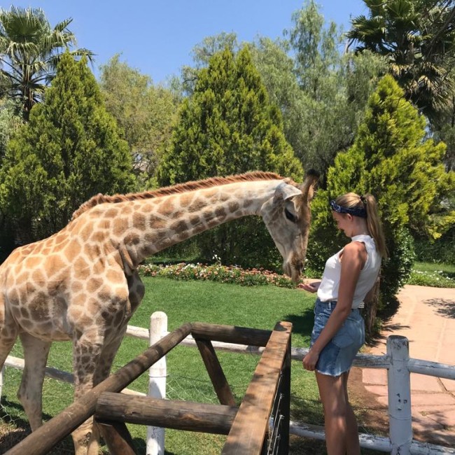 Een vrouw voert een giraffe achter een hek