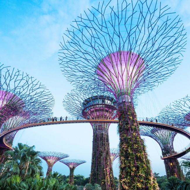 Famous tree lights in park near Marina Bay, a popular travel and tourism destination