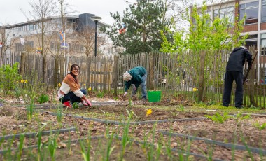 Mensen aan het werk in de BUas moestuin 