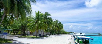 Tropisch eiland met palmbomen, wit zand en blauw water