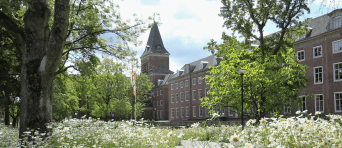 Bloemen bloeien op de BUas campus