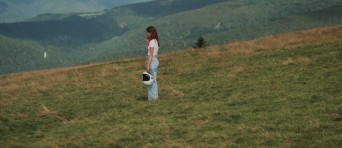 Jip staat in het midden van een bergweide