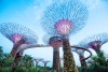 Famous tree lights in park near Marina Bay, a popular travel and tourism destination